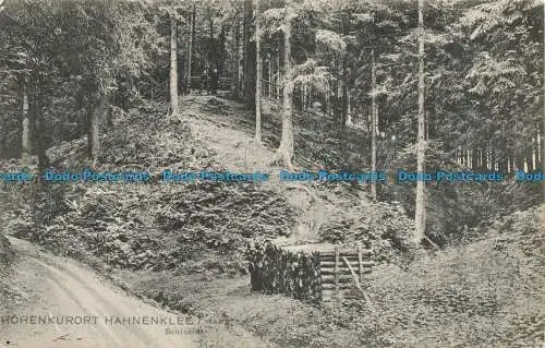 R653809 Hohenkurort Hahnenklee i. Harz. Schlucht. Louis Glaser