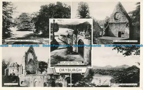 R654074 Dryburgh. Multi-View. Lilywhite. RP