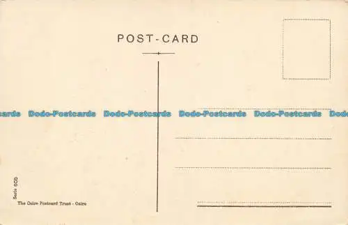 R654086 Heliopolis. Panoramablick. Der Kairo Postcard Trust. Serie. 605