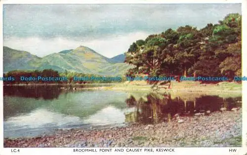 R654441 Keswick. Broomhill Point und Causey Pike. H. Webster