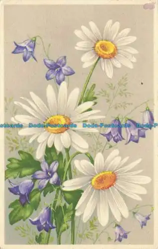 R655725 Grußkarte. Sommerblumen. F.A.P