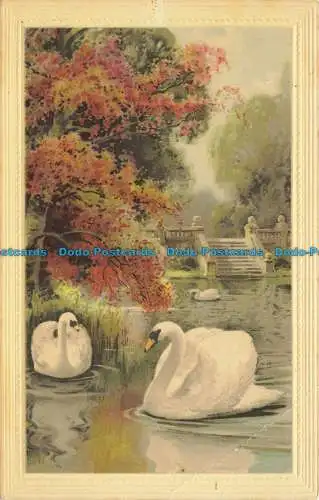 R655727 Park. Teich. Schwäne. Meissner und Buch. Höchste Award-Serie. 1911