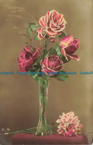 R655788 Rosen in Vase. E.M