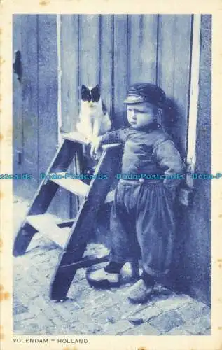 R655911 Volendam. Holland. Junge und Katze. D.B.M. 142