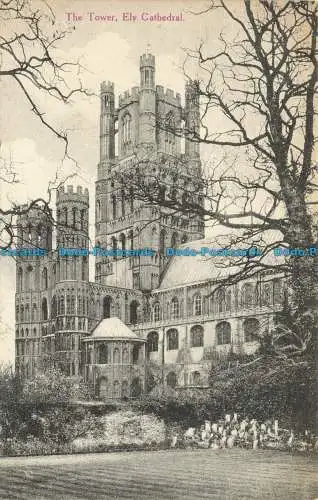 R656058 Ely-Kathedrale. Der Turm. G.H. Tyndall