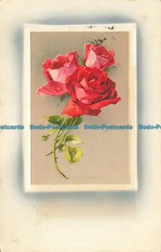 R656110 Rosen aus dem Suden. Meissner und Buch. Iris Serie 1593. 1909