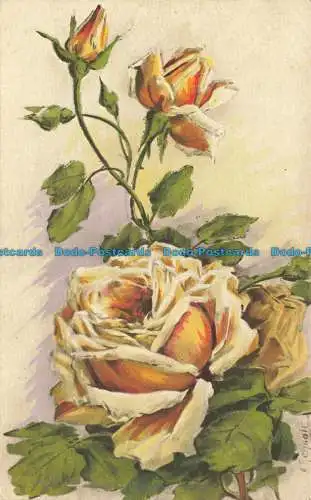 R656113 Rosen. A. Walnuss. Luxographie. Nein. 24