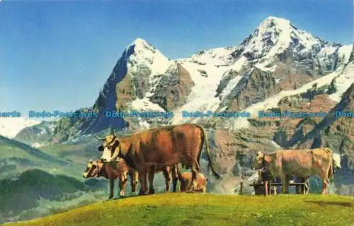 R657627 Motiv Aus Dem Berner Oberland. Mit Eiger und Monch. H. Steinhauer