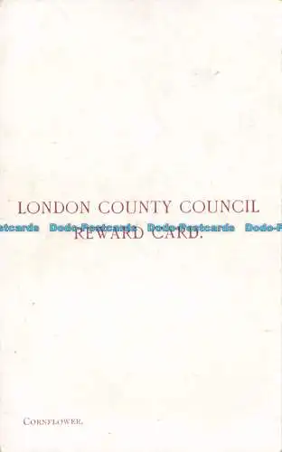 R656206 Kornblume. London County Council Prämienkarte