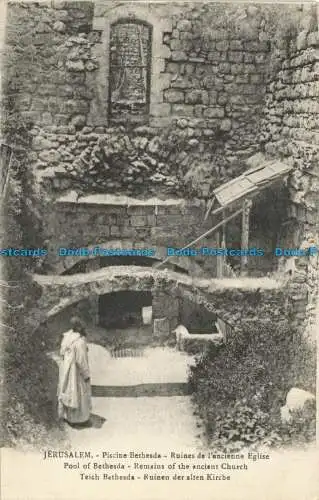 R656257 Jerusalem. Pool von Bethesda. Überreste der antiken Kirche. Weiße Birnen