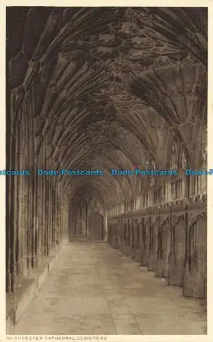 R657116 Gloucester Cathedral. Kreuzgänge. Minchin und Gibbs