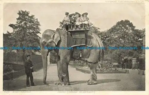 R657943 Jingo. Indischer Elefant. S. Hildesheimer. Die Zoo-Serie