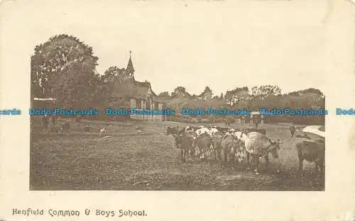 R657951 Henfield Common and Boys School