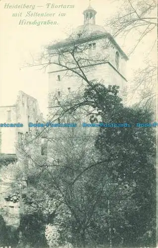 R657230 Heidelberg. Thorturm mit Seltenleer im Hirschgraben