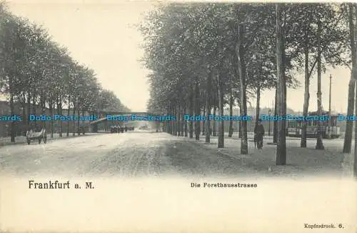 R658645 Frankfurt a.M. Die Forsthausstrasse. Ideal. D.G.I.F.Nr. 6