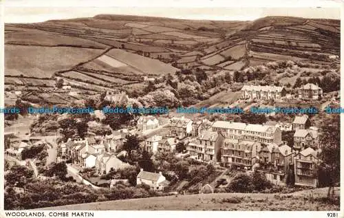 R658694 Wälder. Combe Martin. E.A. Sweetman. Solograph Series De Luxe Foto