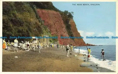 R658061 Shaldon. Der Ness Beach. E.T.W. Dennis