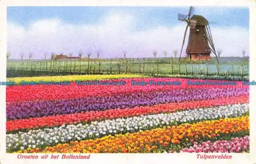 R658718 Groeten uit het Bollenland. Tulpenvelden. S.S