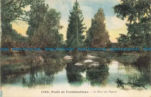 R660719 Wald von Fontainebleau. La Mare aux Pigeons. L.M. 1914