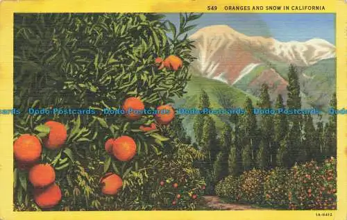 R661444 Orangen und Schnee in Kalifornien. Western Publishing und Neuheiten. C.T.Ar