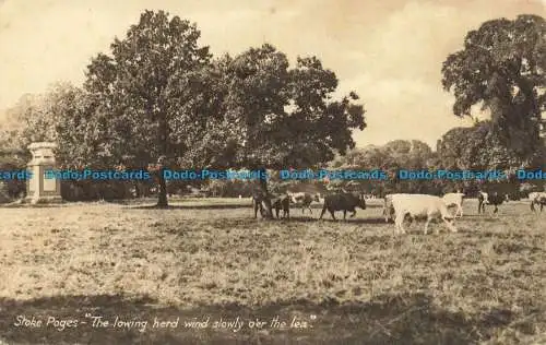 R660835 Stoke Pogges. Der senkende Herdenwind langsam über die Lea