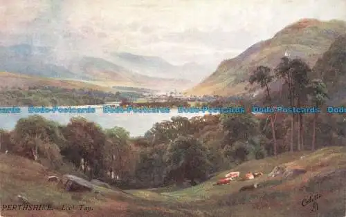 R668788 Perthshire. Loch Tay. Bonnie Scotland. Tuck. Öle. Postkarte 7344. Sut