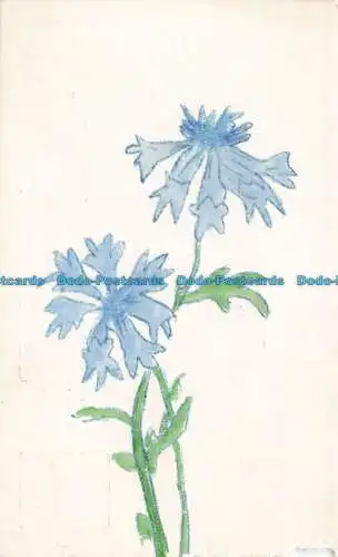 R669530 blaue Wiesenblumen. Postkarte