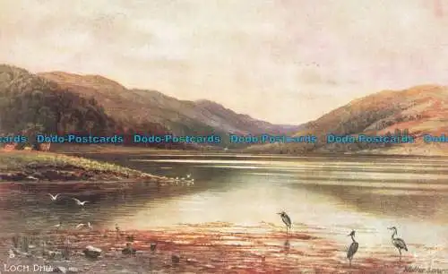 R668790 Loch Dhu. Scottish Lochs. Tuck. Öle. Postkarte 7167. Walter Severn