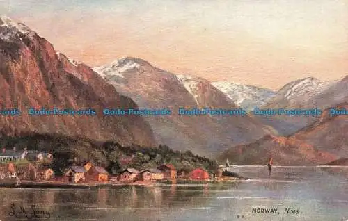 R668797 Norwegen. Noes oder Aandalsnoes. Tuck. Öle. Wide Wide World Series. Ser.