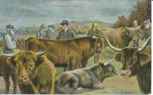 PC24215 The Cattle Fair. G. D. und D. The Star. 1907