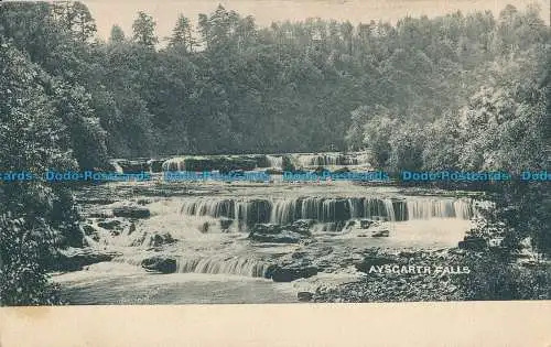 R029519 Aysgarth Falls. 1903