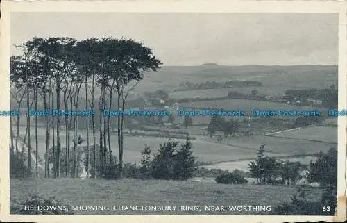 R029071 The Downs zeigen Chanctonbury Ring. Nahe Worthing. 1959