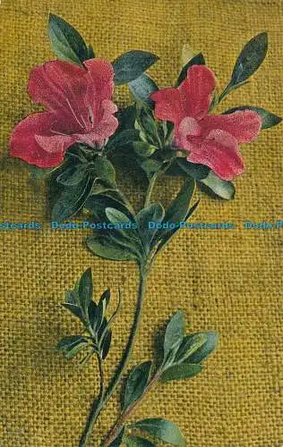 R029612 Alte Postkarte. Blumen. Ritter. Nr 753