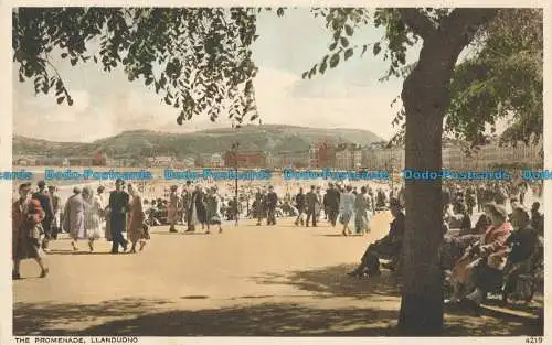 R029689 Die Promenade. Llandudno. Fotopräzision. Englisch. Nr 4219