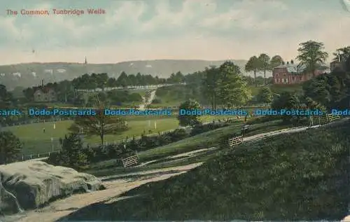 R029749 The Common. Tunbridge Wells. Stafford. 1907