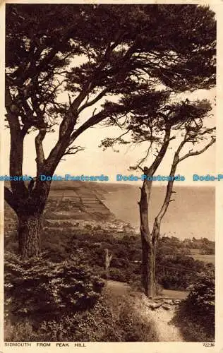 R040314 Sidmouth von Peak Hill. Photochrom. Nr 72236