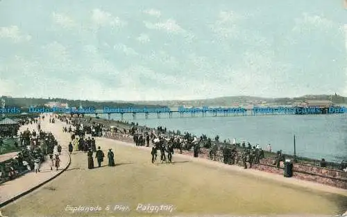 R128361 Esplanade und Pier. Paignton. Hartmann