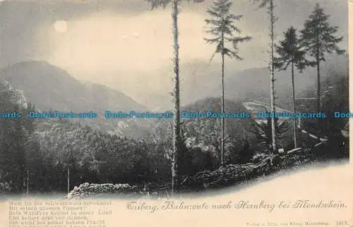 R129086 Triberg. Bahnroute nach Hornberg bei Mondschein. Edm von König