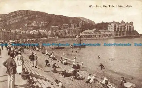 R640460 Llandudno. Watching The Tide. Serie Valentine. Bild