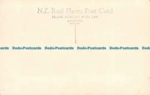 R157389 auf dem Avon. Christchurch. N. Z. Frank Duncan. RP