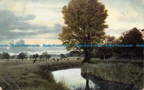 R157919 Alte Postkarte. See und Felder. Ritter. 1904