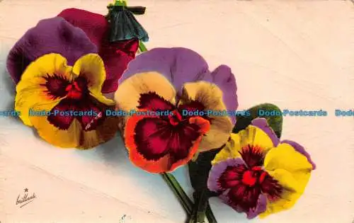 R158568 Alte Postkarte. Blumen. Cecami