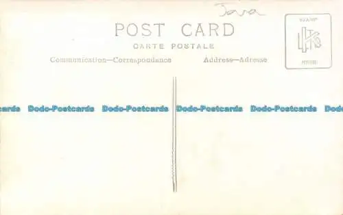 R157055 Alte Postkarte. Pferdeskulptur. Handflächen