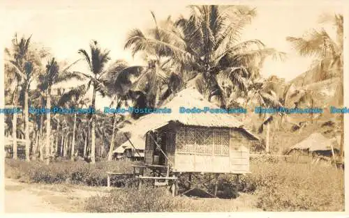 R157056 Alte Postkarte. Baum und Palmen aus Holz