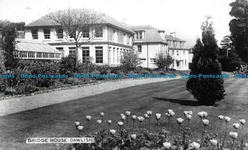 R157085 Bridge House Dawlish. Chapman. RP