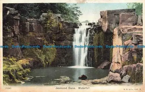 R667131 Jesmond Dene. Wasserfall. R. R. 1904