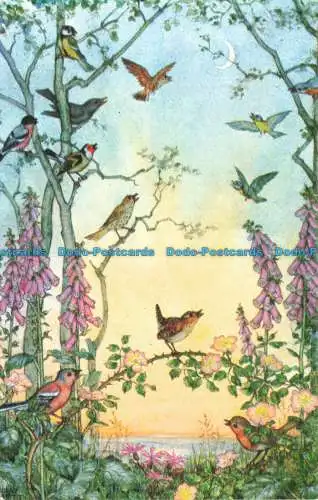 R669248 Dawn Chorus. Medici Society. Molly Brett