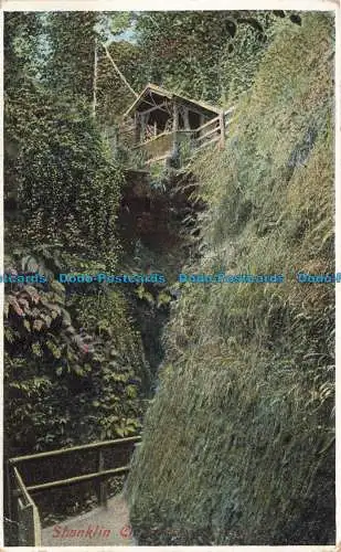 R669682 Isle of Wight. Shanklin Chine. Ideal Serie