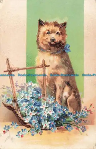 R669683 Hund und blaue Blumen. P.F.B. Serie 5575. 1906