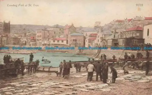 R668993 Landungsfische in St. Ives. Postkarte